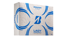 Lady Precept